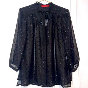 Sheer Tie-Neck Silk Blouse